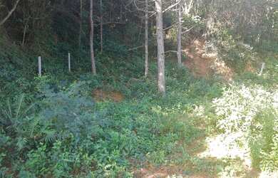 Imagem 6: Terreno Terreno / lote com venda por R$900.000