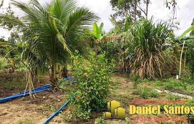 Imagem 6: SITIO RURAL em SANTA CRUZ CABRÁLIA - BA, camurugi em Santa Cruz Cabrália