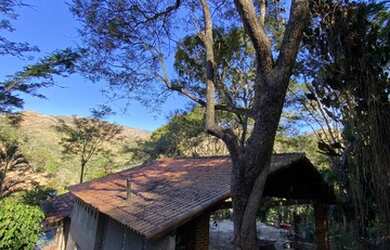 Imagem 6: OPORTUNIDADE! SITIO COM 26.000M2 OTIMA TOPOGRAFIA, CASA ANTIGA PRECISANDO DE REFORMAS