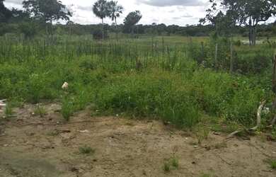 Imagem 3: Vendo uma casa. 10m² de Área