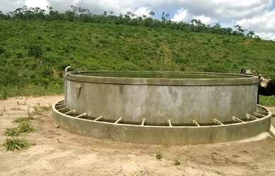 Imagem 11: Fazenda para venda. Com 1.419 ha em Jequitibá - Mundo Novo - BA