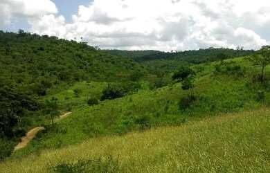 Imagem 2: Fazenda para venda. Com 1.419 ha em Jequitibá - Mundo Novo - BA