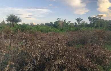 Imagem 1: Vendo ou troco terreno em Belterra 20de frente por 100 de fundo