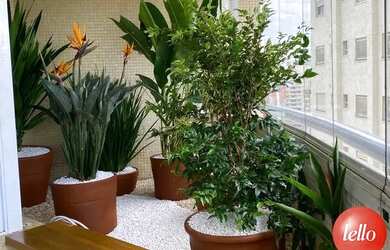 Imagem 4: São Paulo - Apartamento Padrão - Paraíso