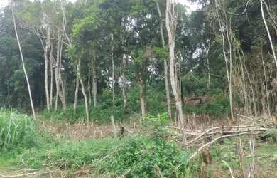 Imagem 6: Juquitiba município de interesse turismo terreno 29 mil reais