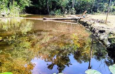 Imagem: A chácara possui 100000m² de Área e está localizado em Centro