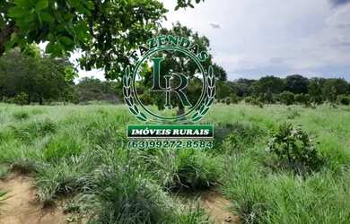 Imagem: A fazenda está localizado em Plano Diretor Sul, Palmas à venda