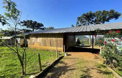 Imagem 3: Sitio - Bairro Serra Grande