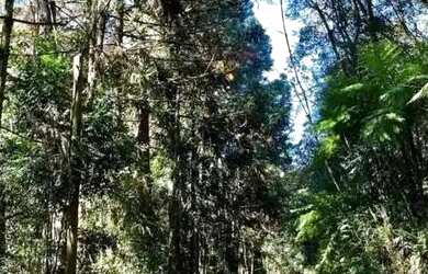 Imagem: A chácara possui 20.000m² de Área e está localizado em