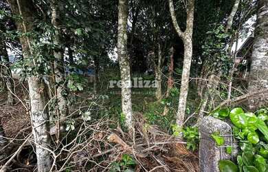 Imagem 8: LOTE A VENDA NO LOTEAMENTO MAZZURANA