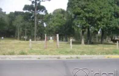 Imagem 6: TERRENO NO BAIRRO CRUZEIRO- CAXIAS DO SUL