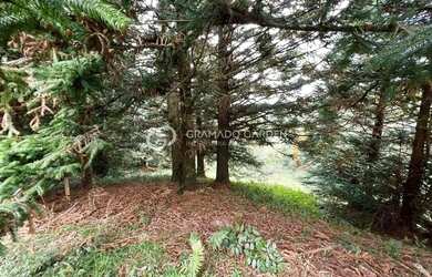 Imagem 3: TERRENO COM VISTA PERENE PARA O VALE