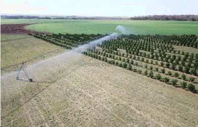 Imagem 2: fazenda de 158,33 hectares na região da cidade de Votuporanga