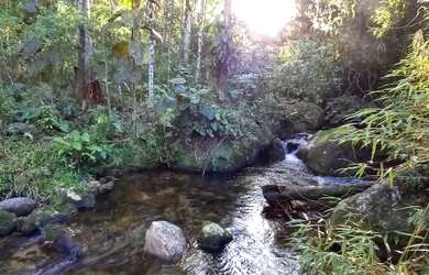 Imagem 7: SÍTIO EM ANGELINA/SC. 