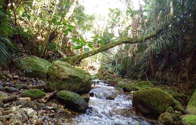 Imagem: O terreno possui 10.000m² de Área e está localizado em Tinga