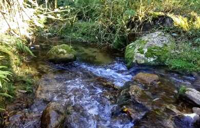 Imagem 6: SÍTIO EM ANGELINA/SC. 