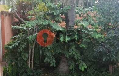 Imagem 7: SAO JOSE DO RIO PRETO - Residential / Home - ROMANO CALIL