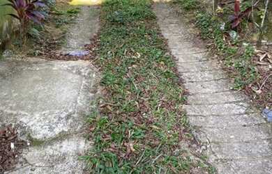 Imagem: A casa possui 2 Dormitórios, 2 Banheiros, 4 Vagas na garagem