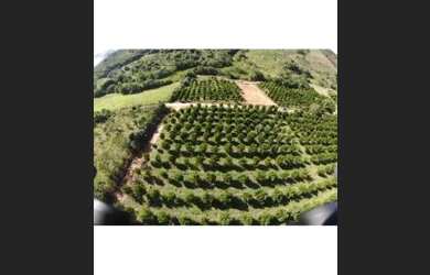 Imagem 1: Terreno Belo Vale MG. 2.000m² de Área