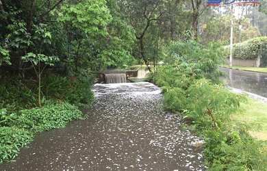 Imagem 11: Casa com 3 dormitórios, 460 m² - venda por R$ 2.950.000,00 ou aluguel...