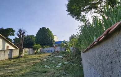 Imagem 2: Terreno 600m², todo murado