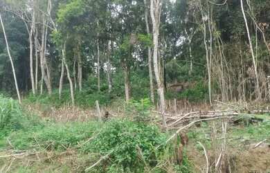 Imagem 5: Juquitiba município de interesse turismo terreno 29 mil reais