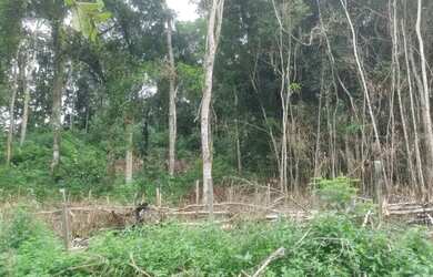 Imagem 4: Juquitiba município de interesse turismo terreno 29 mil reais