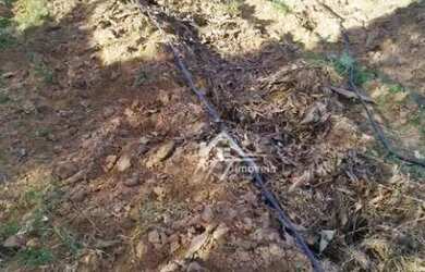 Imagem 3: Terreno à venda, 2300 m² por R$ 900.000 - Chácara Cruzeiro do Sul -...