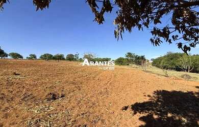 Imagem 13: Fazenda com 20 HECTARES à venda na área rural de Uberlândia