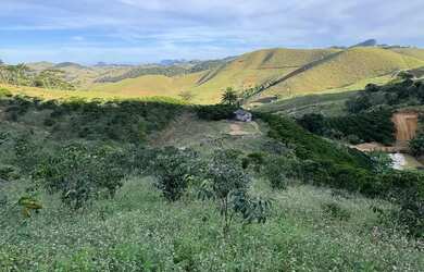 Imagem 15: MIMOSO COM 7 MIL PÉS DE CAFÉ COM CASA ENERGIA E MUITA ÁGUA