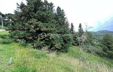 Imagem 6: TERRENO COM VISTA PERENE PARA O VALE