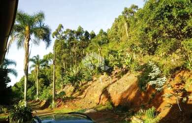 Imagem: A fazenda possui 50.000m² de Área e está localizado em Carlos