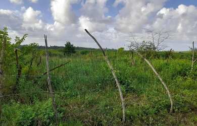 Imagem: O terreno possui 25m² de Área e está localizado em Bugio
