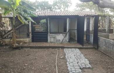 Imagem 11: Chácara em Luzimangues. Piscina, Churrasqueira, Vista para o lagoe4.000m²...