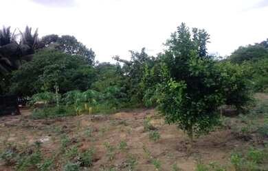 Imagem 2: Fazenda à venda, 3339600 m² por R$ 3.450.000 - Araguaína/TO