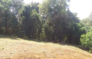 Imagem 8: Fazenda/Sítio/Chácara para venda possui 38000 metros quadrados em PORTO...