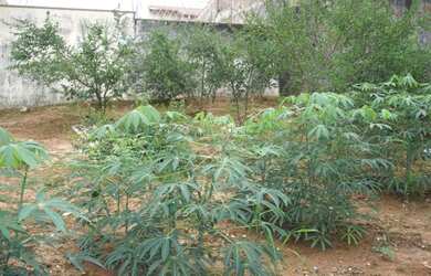 Imagem 6: TERRENO COMERCIAL em JUNDIAÍ - SP, VIZINHO PORTAL PARAIZO