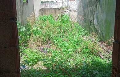 Imagem 1: Vendo terreno em Afogados