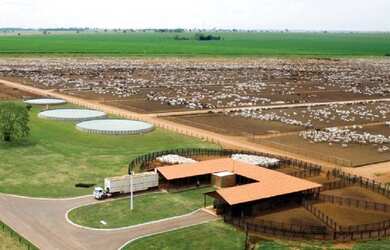 Imagem: A fazenda possui 10.102.000m² de Área e está localizado