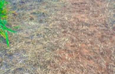 Imagem 7: Lote/Terreno para venda tem 600 metros quadrados em Centro - Nazaré Paulista...