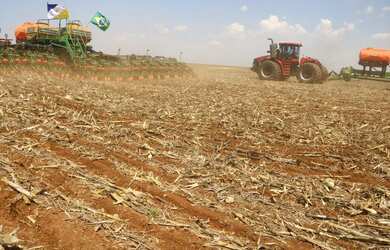 Imagem 1: ET - Rural Investimento - Compra de Fazenda - Cana Milho Soja Boi Suínos