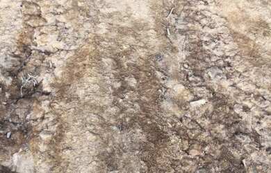 Imagem 4: sb- terreno para investir