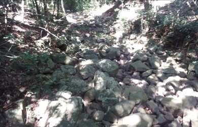 Imagem 1: Fazenda/Sítio/Chácara para venda possui 38000 metros quadrados em PORTO...