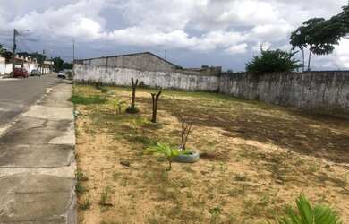 Imagem 7: Lote Turu. 300m² de Área