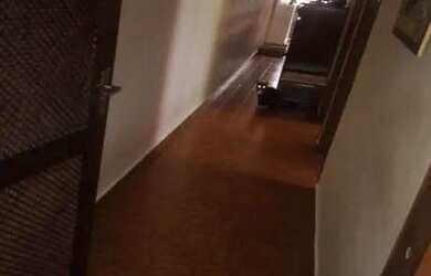 Imagem 8: Praia Grande - Comercial - Imperador