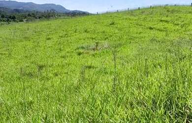 Imagem 14: TERRENO PARA SITIO EM ARUJA