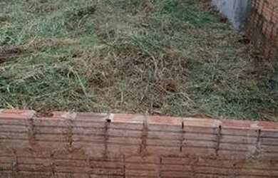 Imagem: O terreno possui 200m² de Área e está localizado em São