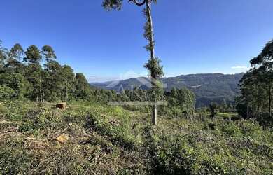 Imagem 7: Área de terra de 27,9 ha com vista panorâmica à venda em Nova Petrópolis na Serra Gaúcha