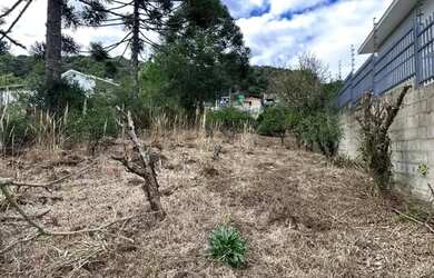 Imagem 2: CAXIAS DO SUL - Terreno Padrão - DE ZORZI