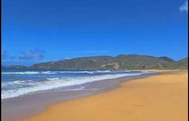 Imagem 7: Disponível Réveillon e Carnaval